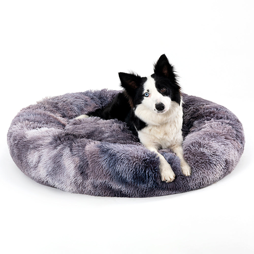 Orthopedic Beds for Senior Dogs