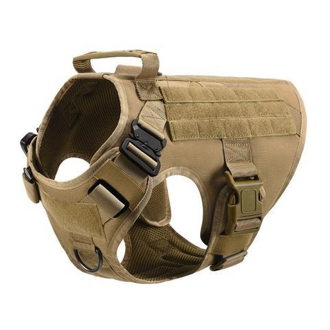 Best Dog Harness for Small Breeds: Our Top 10 Picks