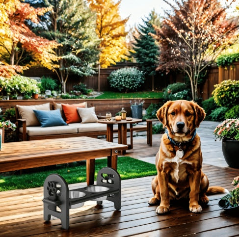 Raised Cat Bowls for Better Digestion