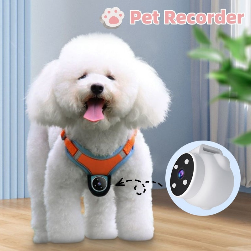 Best GPS Pet Trackers for Small Dogs