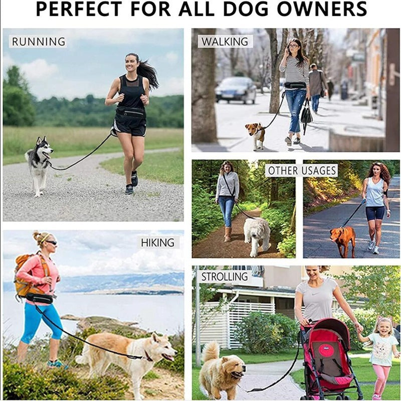 Pet Walking Belt with Phone Pocket and Bottle Holder
