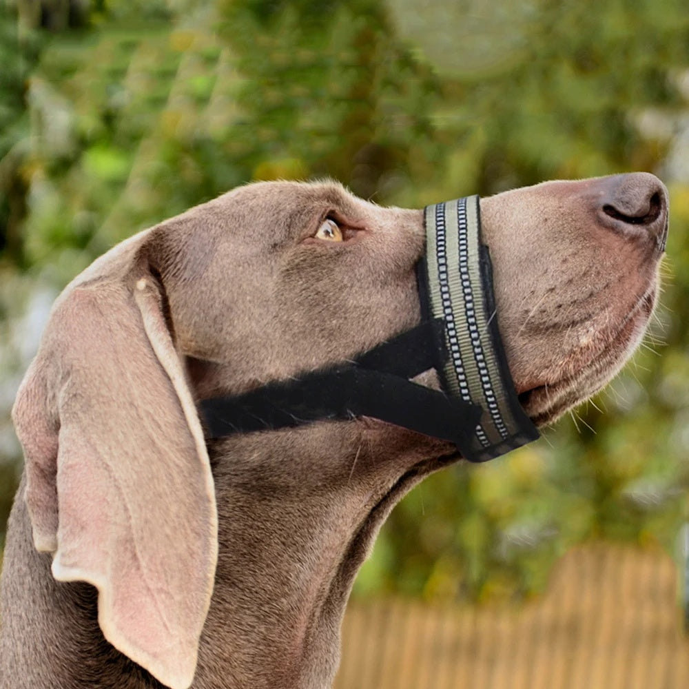 Reflective Anti-Biting Dog Muzzle for Large Dogs