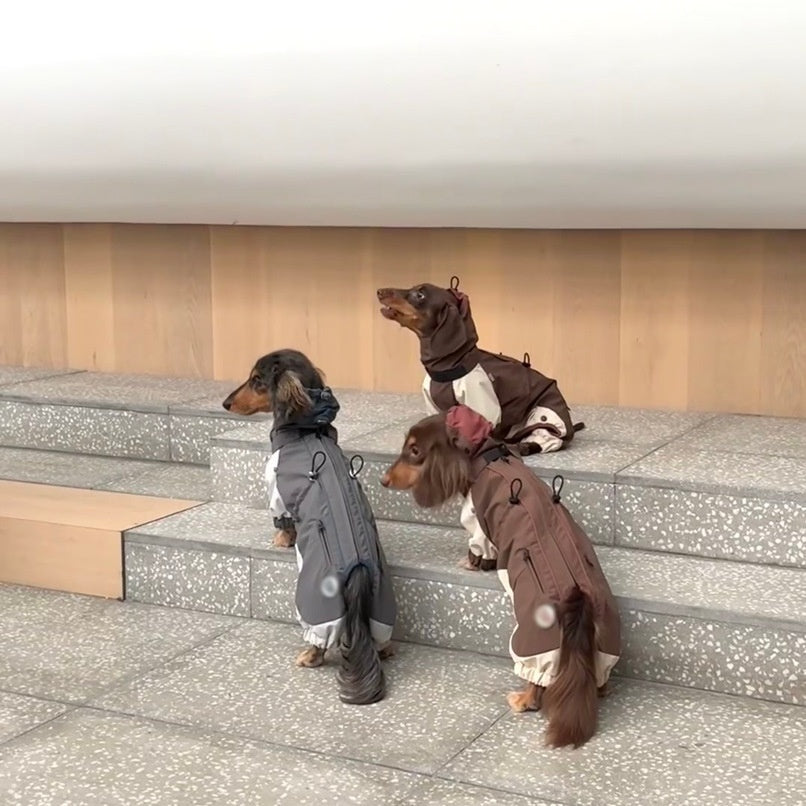 Cold-Proof Dachshund Jacket – Autumn Winter Pet Clothes