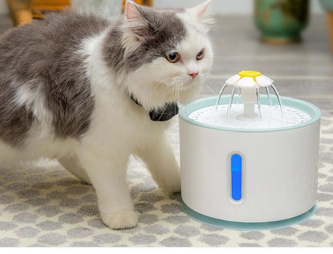 Automatic Pet Water Fountain with Filter