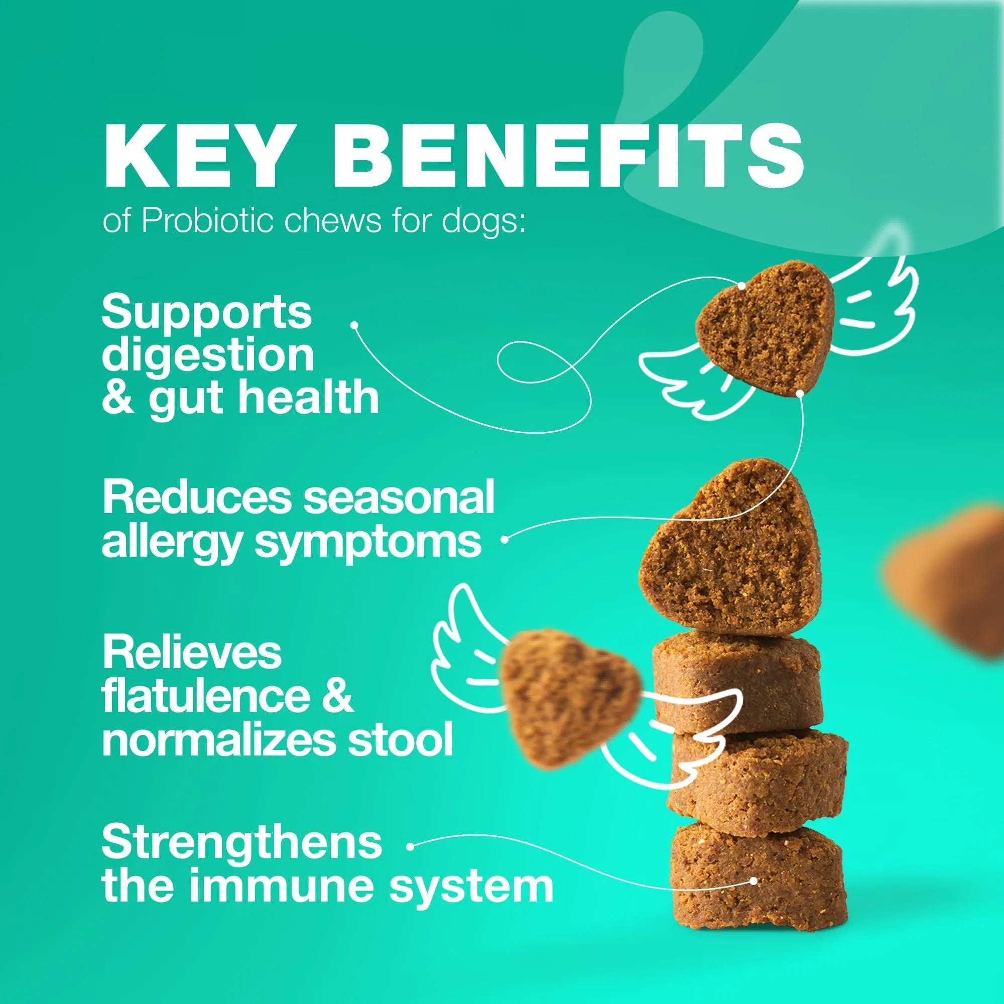 Probiotic Chews for Dogs – Gut & Allergy Support