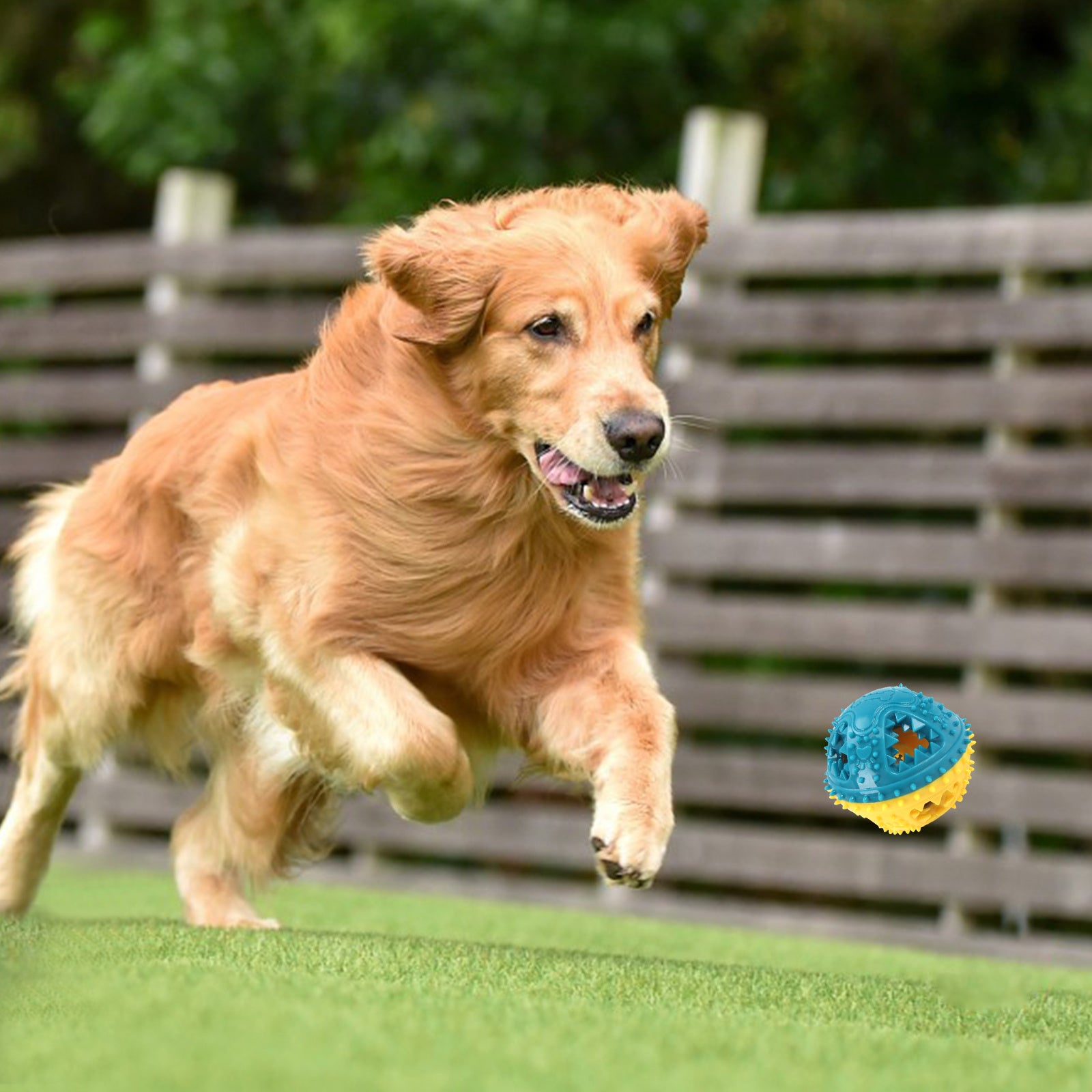 Dog Chew Sound Ball for Teeth Cleaning