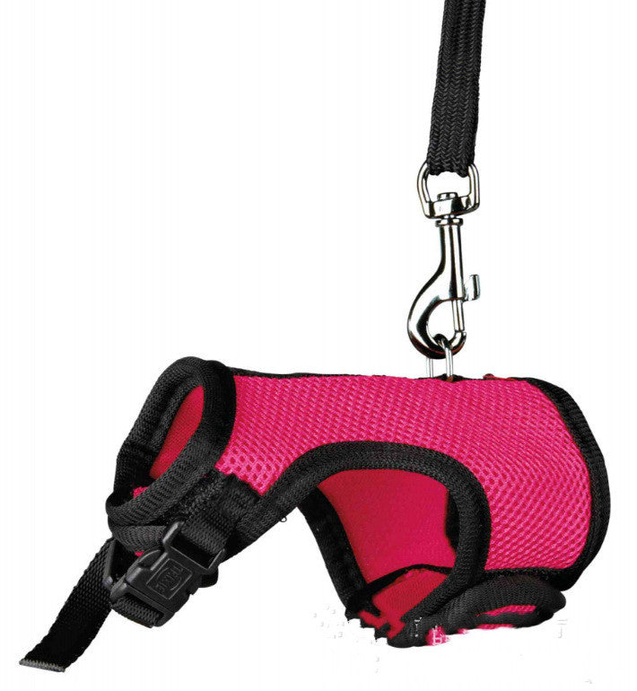 Small Pet Rabbit Leash for Outdoor Walking