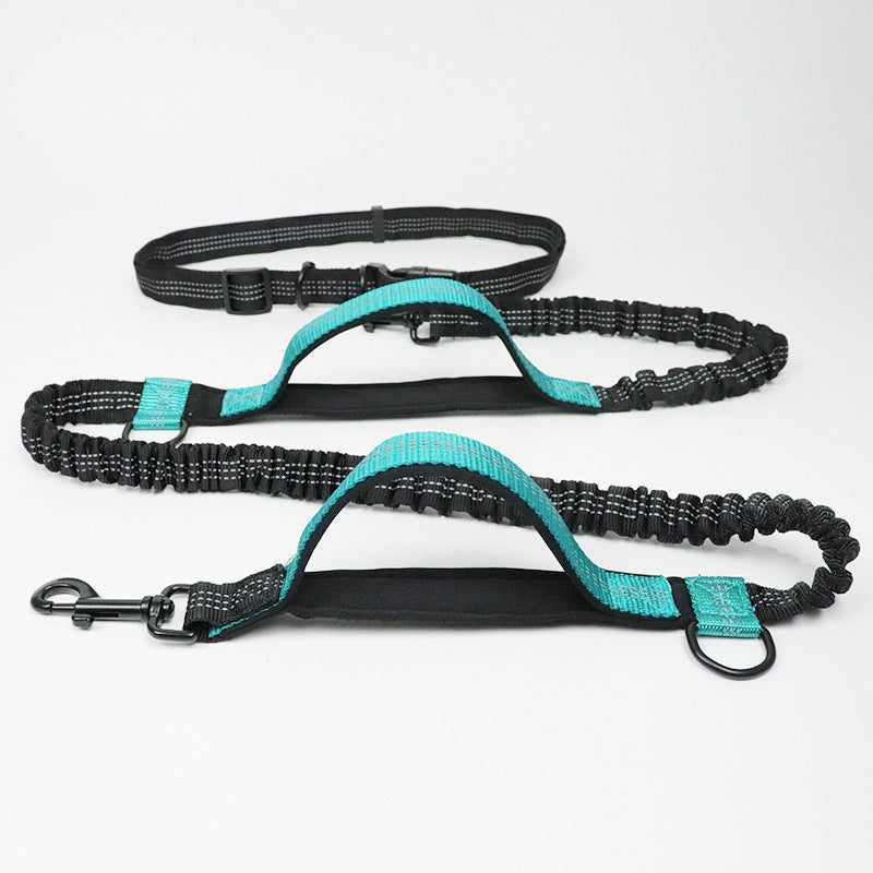 Multi-Function Reflective Dog Running Leash with Double Elastic