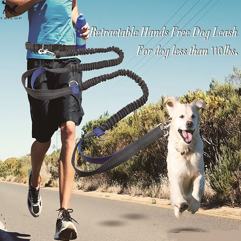 Multi-Function Reflective Dog Running Leash with Double Elastic