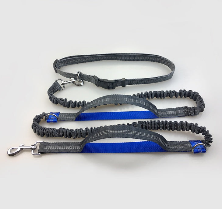 Multi-Function Reflective Dog Running Leash with Double Elastic
