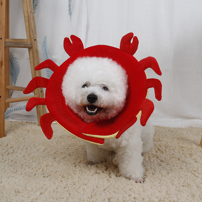 Pet Bite Prevention Collar with Flower Design