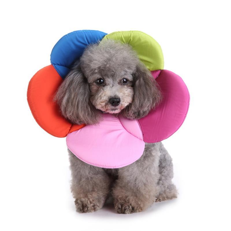 Pet Bite Prevention Collar with Flower Design