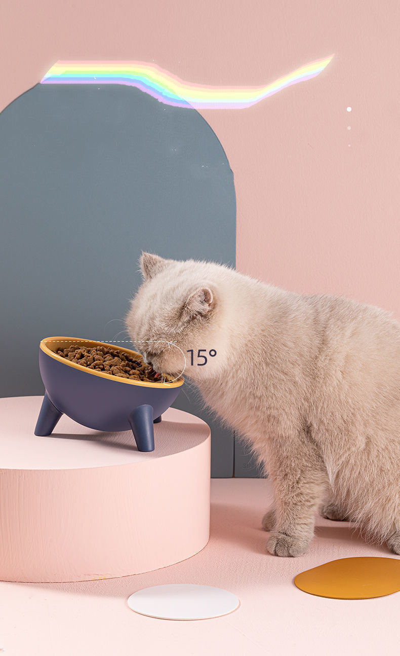 Pet Food Bowl Stand for Easy Eating