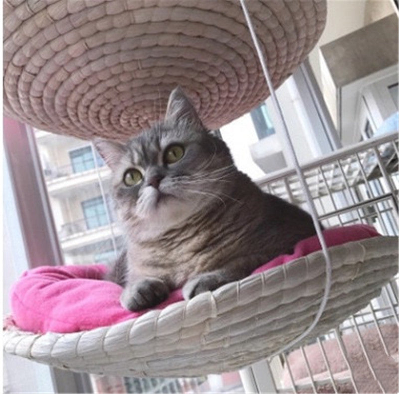 Cat Climbing Frame with Scratching Posts and Platforms