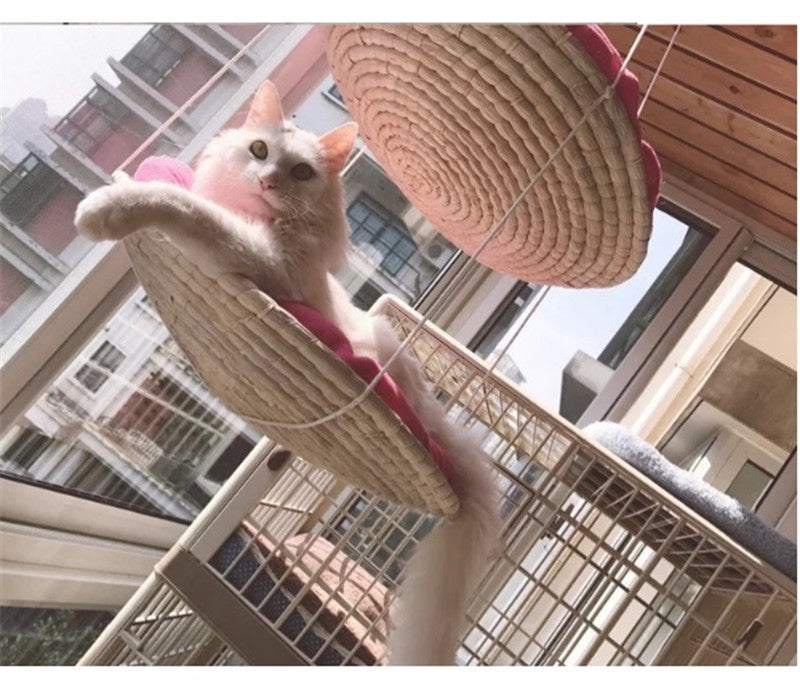 Cat Climbing Frame with Scratching Posts and Platforms