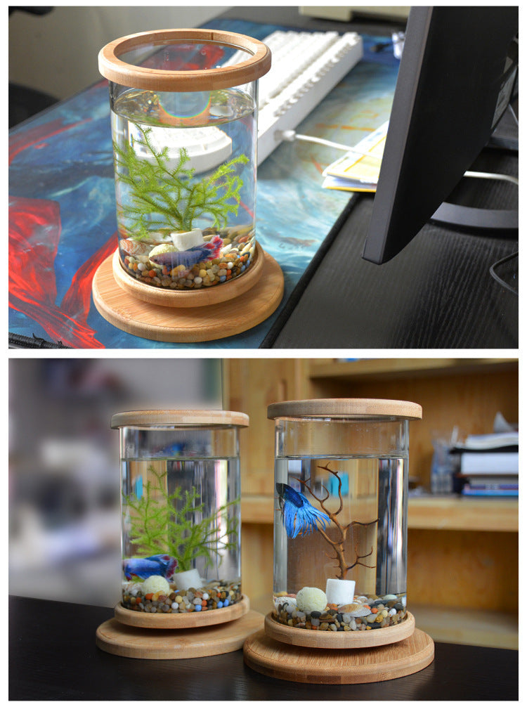 Mini Glass Fish Tank with Bamboo Base