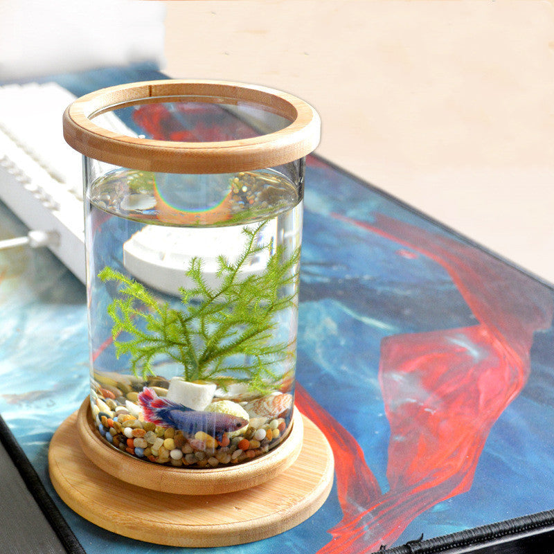 Mini Glass Fish Tank with Bamboo Base