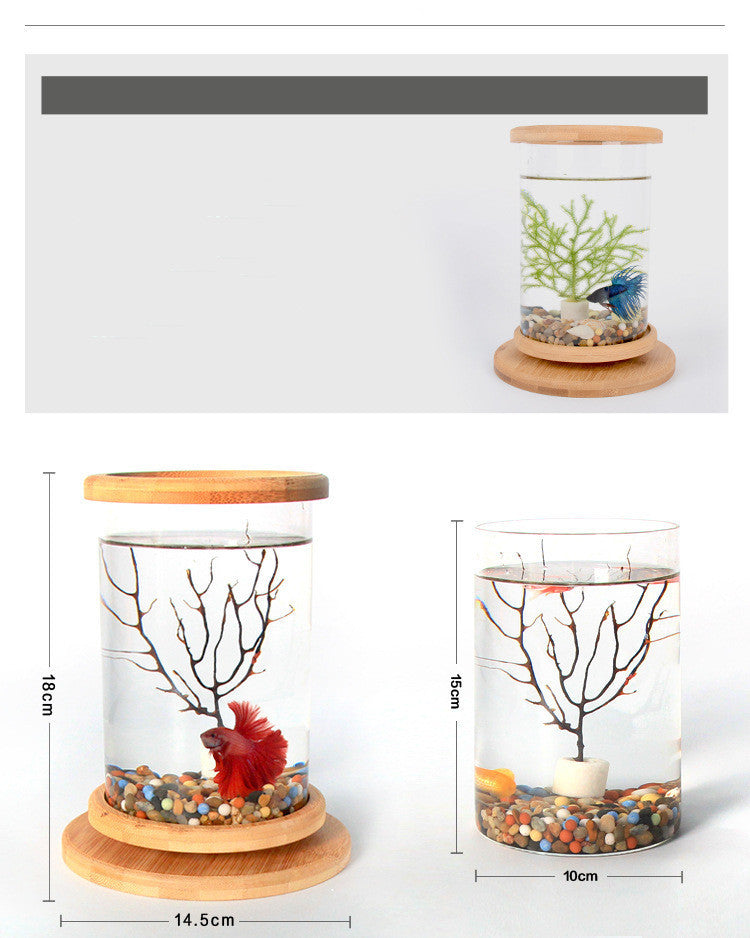 Mini Glass Fish Tank with Bamboo Base