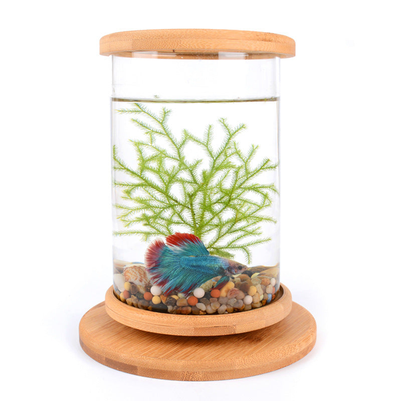 Mini Glass Fish Tank with Bamboo Base