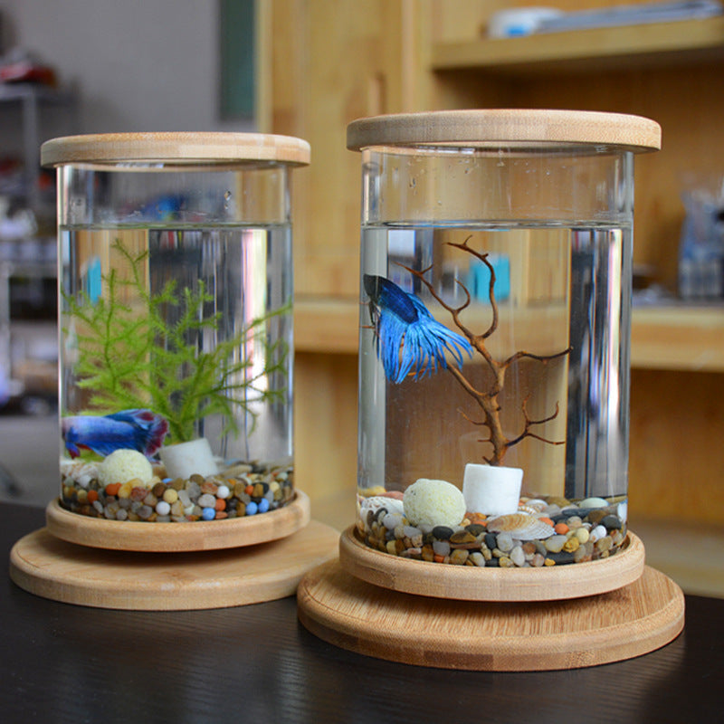 Mini Glass Fish Tank with Bamboo Base