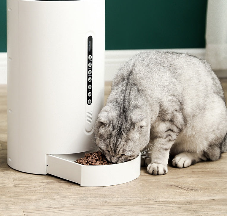 Automatic Pet Smart Feeder with Timer