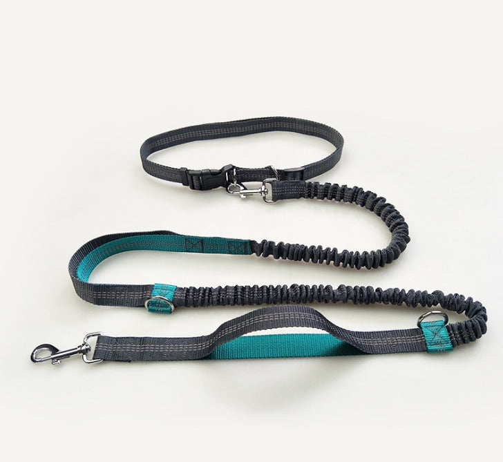 Multi-Function Reflective Dog Running Leash with Double Elastic