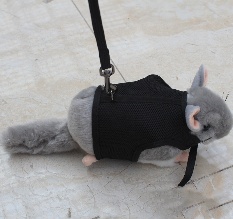 Small Pet Rabbit Leash for Outdoor Walking