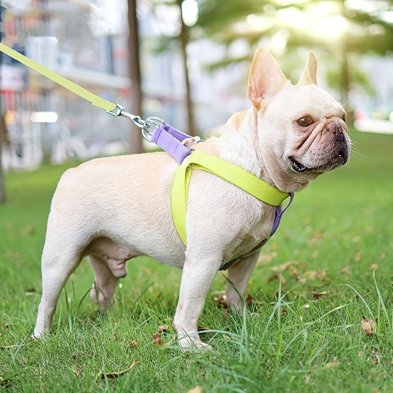 Rainbow Colorblock Dog Harness and Leash Set