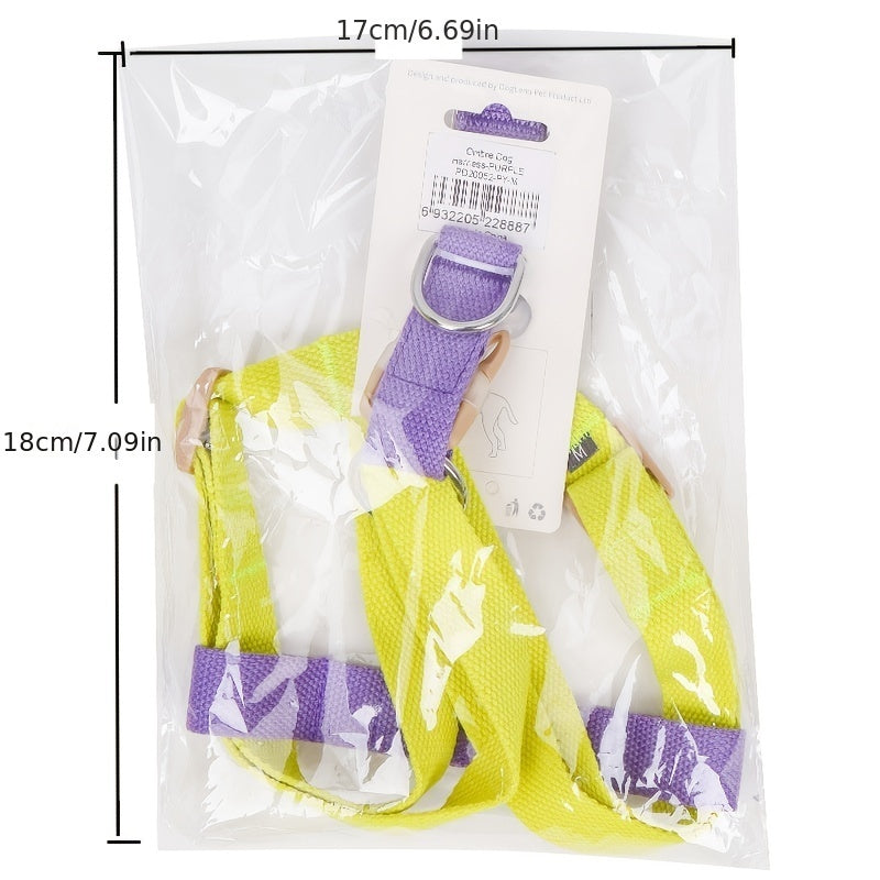 Rainbow Colorblock Dog Harness and Leash Set