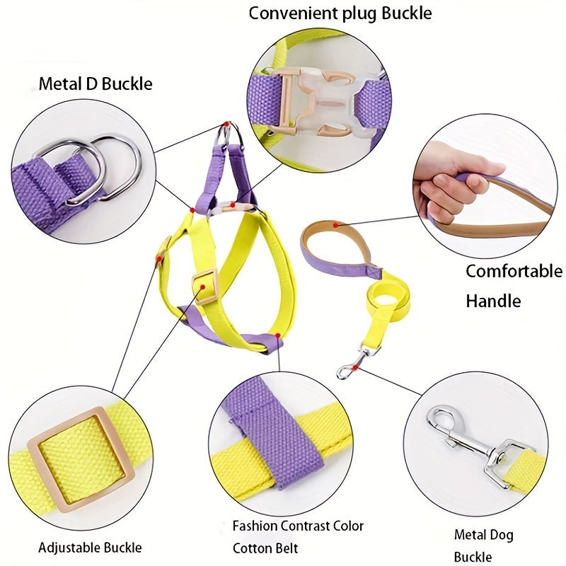 Rainbow Colorblock Dog Harness and Leash Set