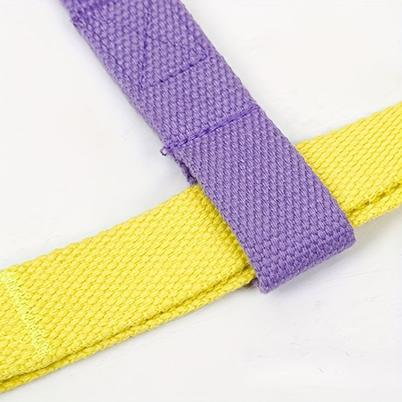 Rainbow Colorblock Dog Harness and Leash Set