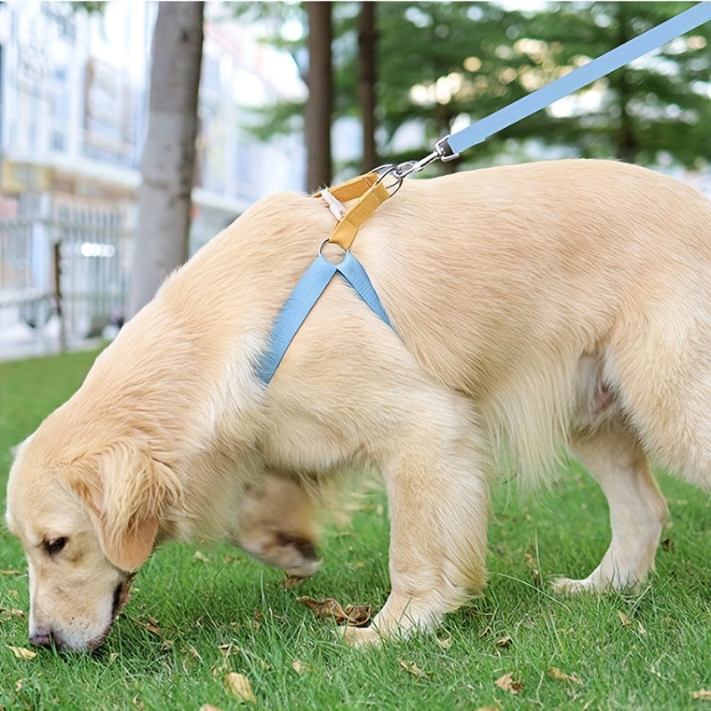 Rainbow Colorblock Dog Harness and Leash Set