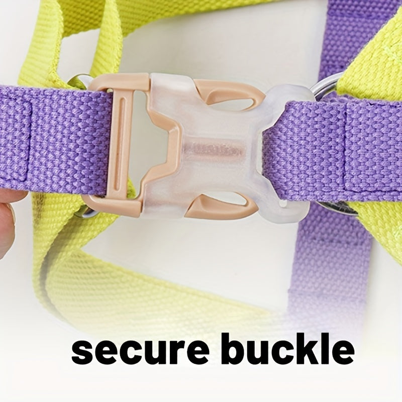Rainbow Colorblock Dog Harness and Leash Set
