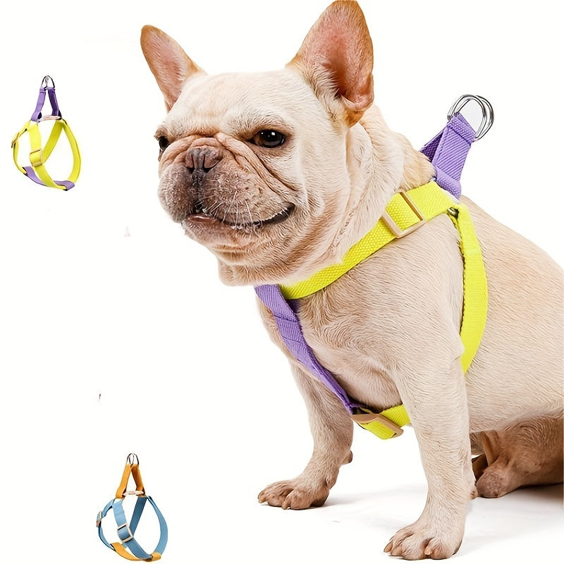 Rainbow Colorblock Dog Harness and Leash Set