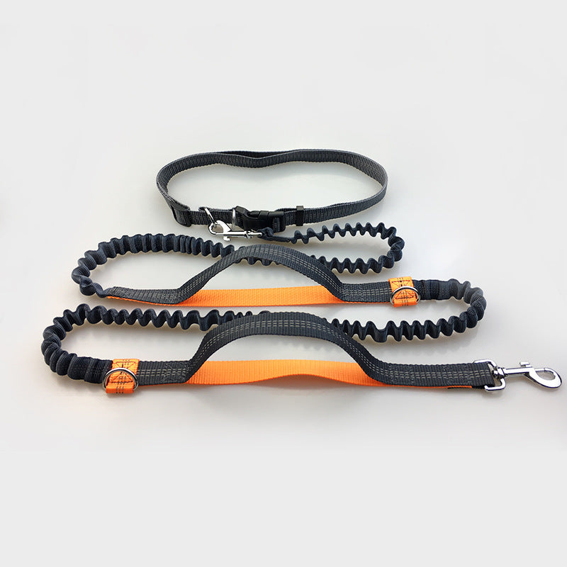 Multi-Function Reflective Dog Running Leash with Double Elastic