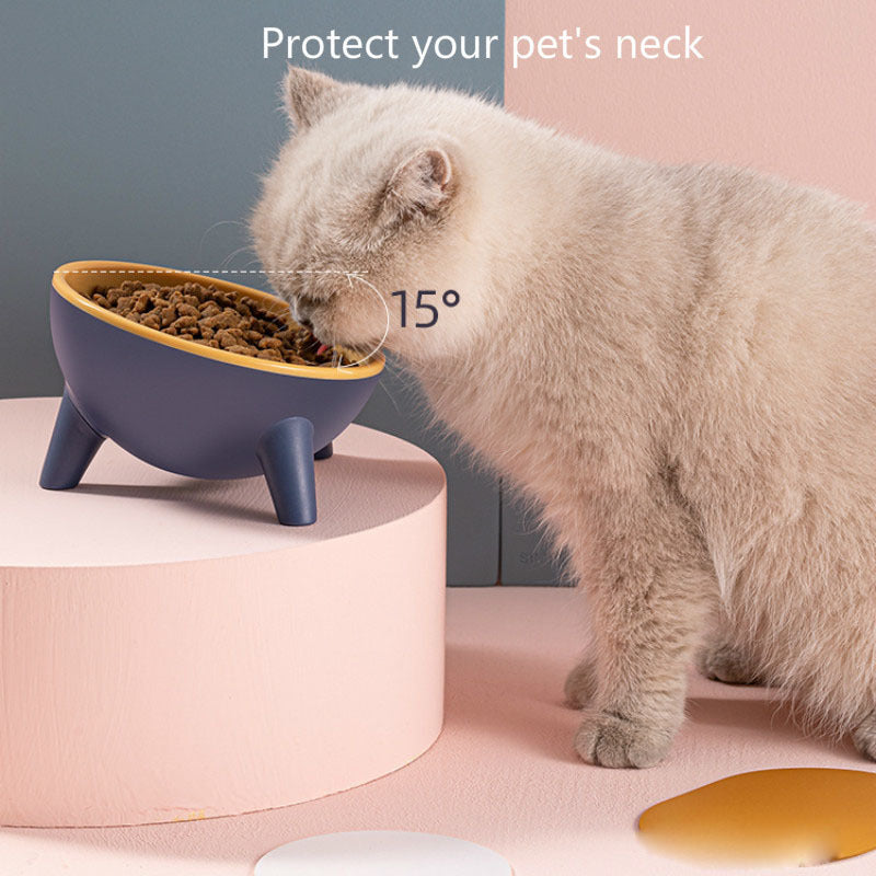 Pet Food Bowl Stand for Easy Eating