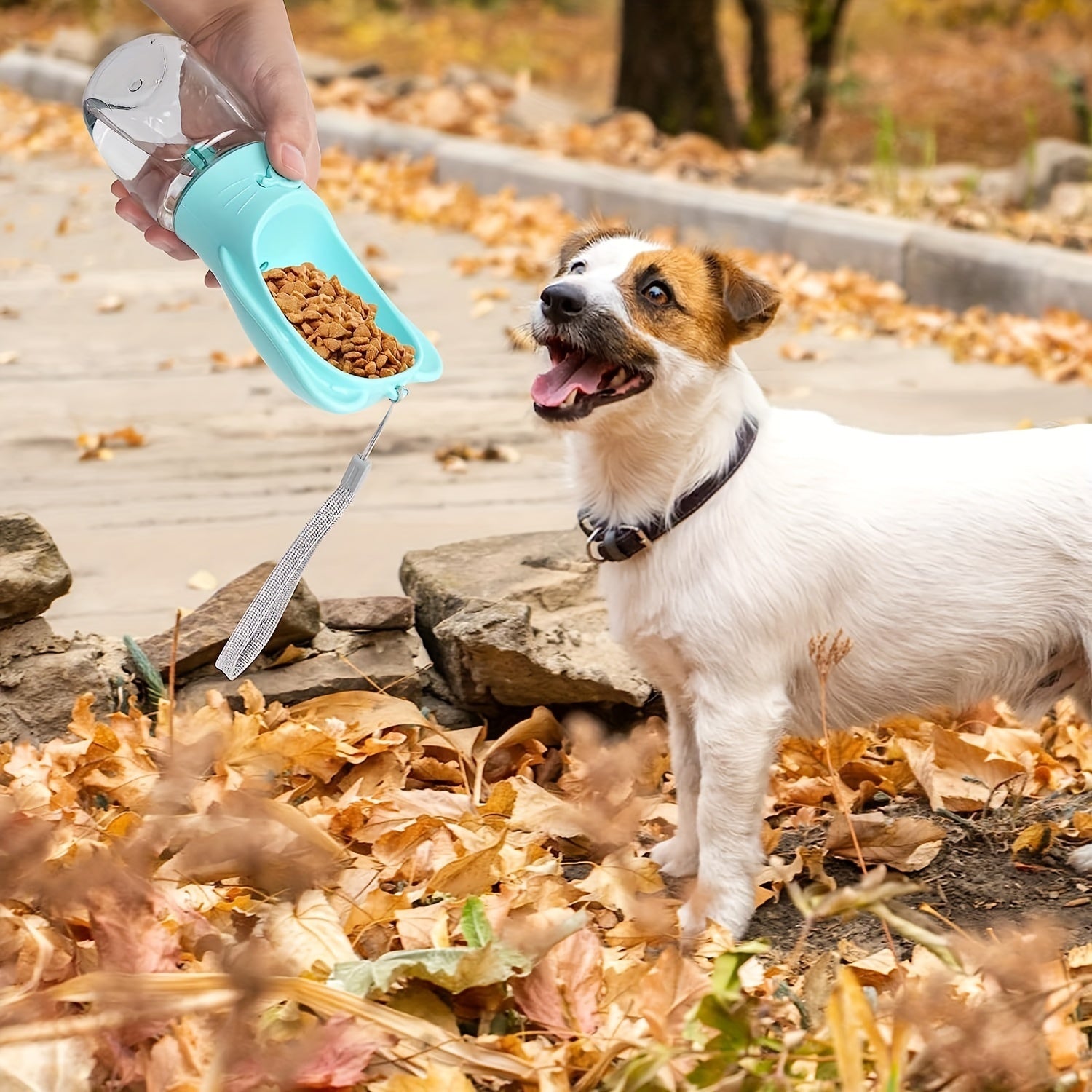 Leak-Proof Pet Water Bottle for Travel & Walks