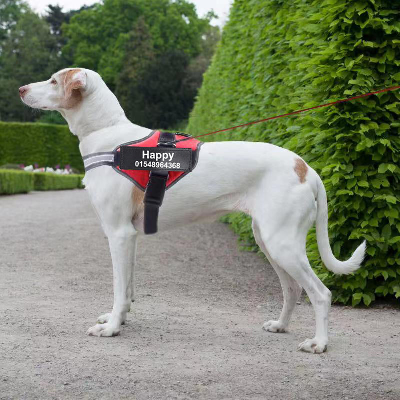 Custom Reflective No-Pull Dog Harness with Patch