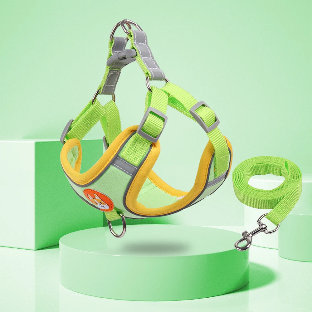 Adjustable Dog Harness and Leash Set