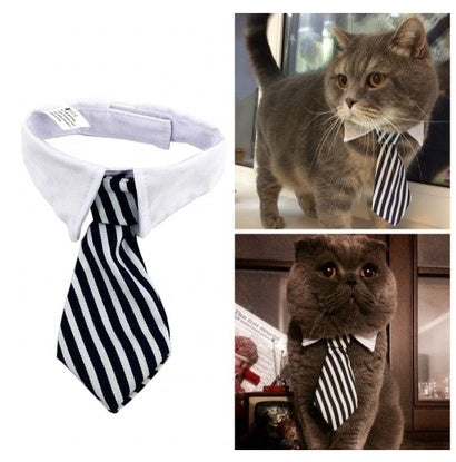 Pet Bow Tie with Cute Cartoon Print