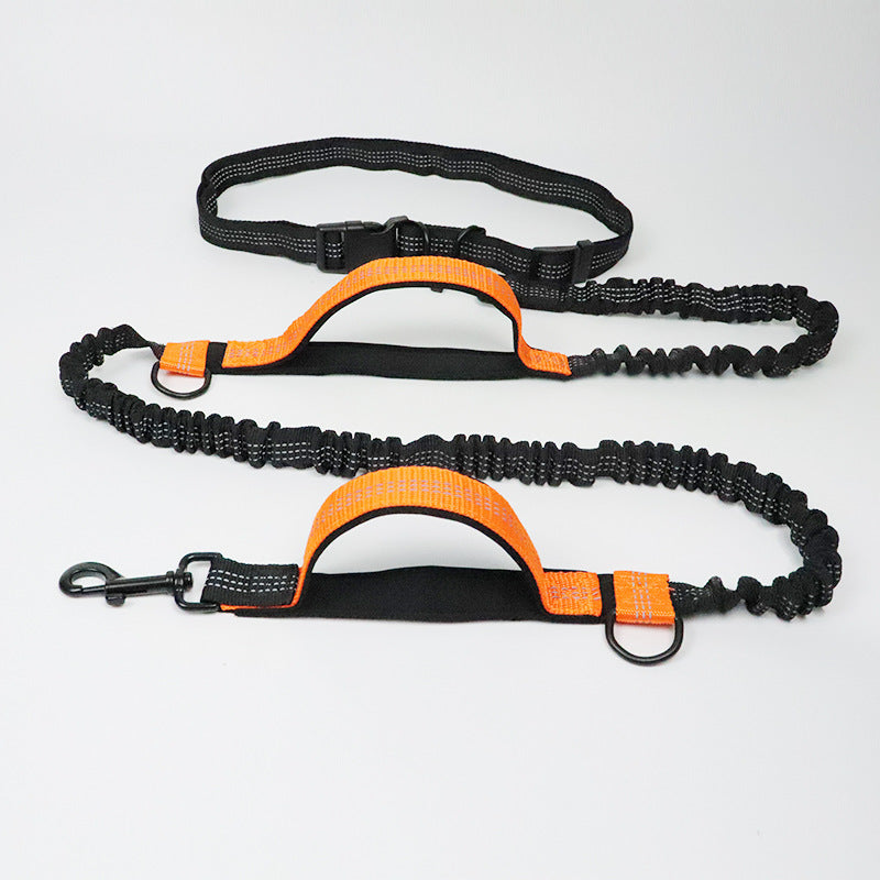 Multi-Function Reflective Dog Running Leash with Double Elastic