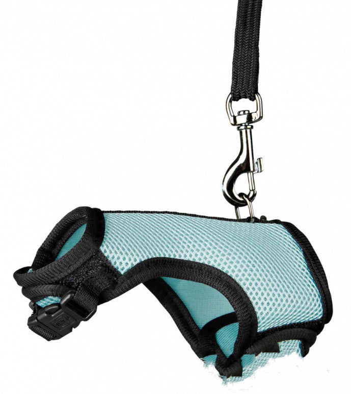 Small Pet Rabbit Leash for Outdoor Walking