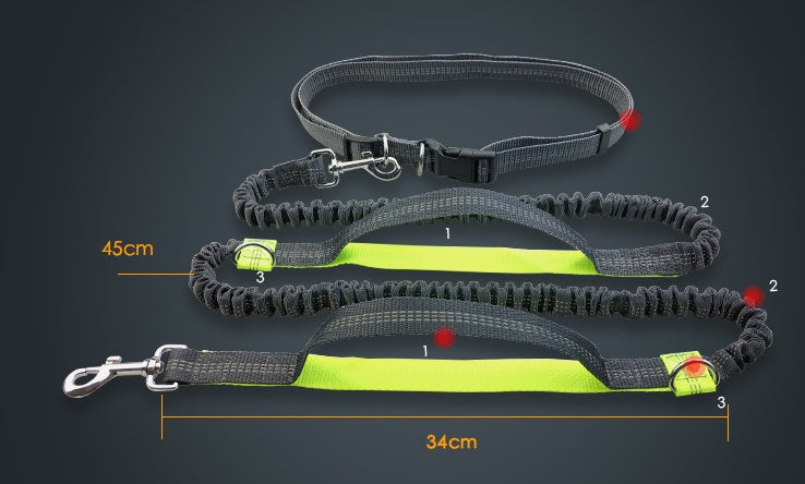 Multi-Function Reflective Dog Running Leash with Double Elastic