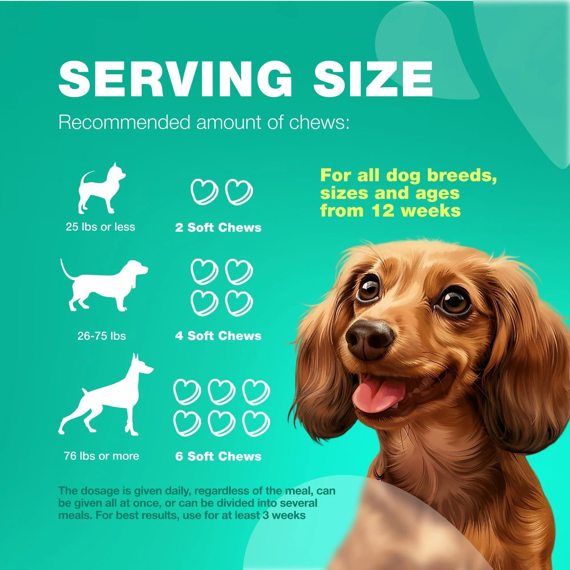 Probiotic Chews for Dogs – Gut & Allergy Support