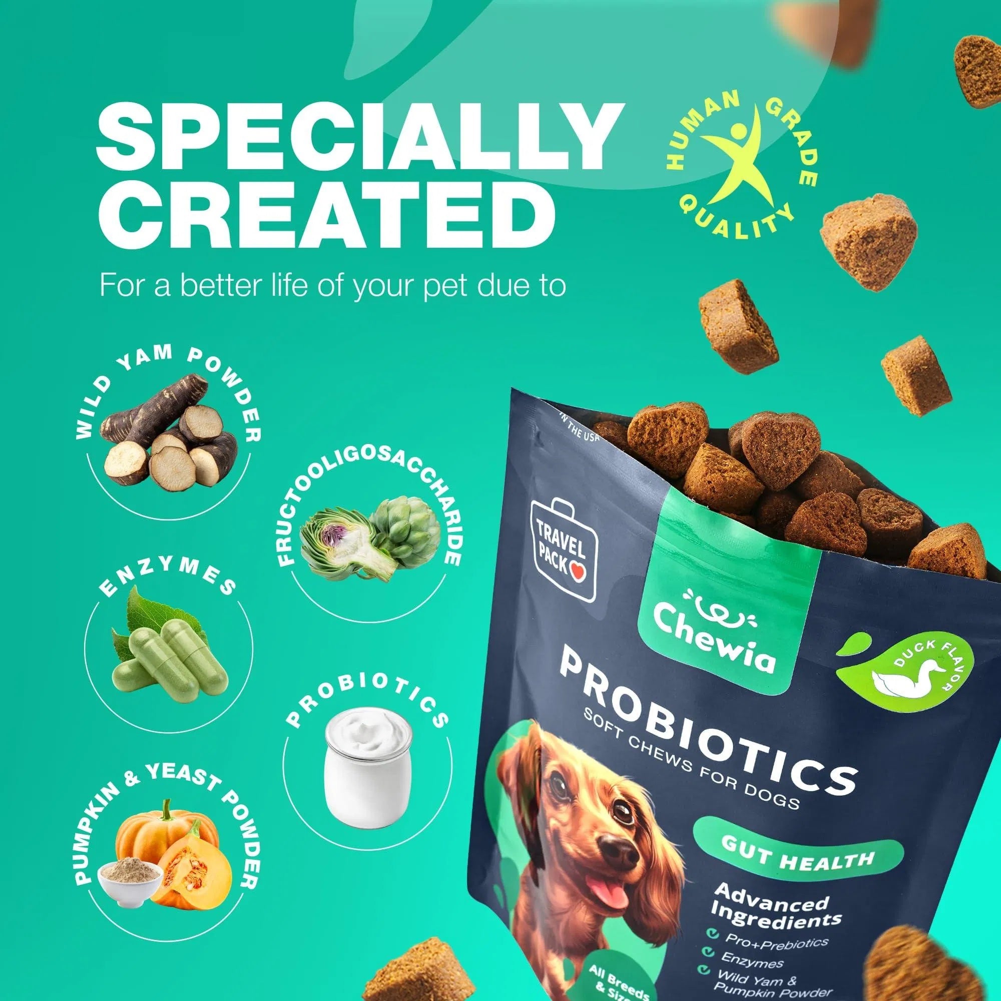 Probiotic Chews for Dogs – Gut & Allergy Support