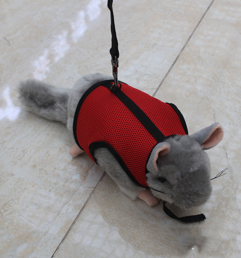 Small Pet Rabbit Leash for Outdoor Walking
