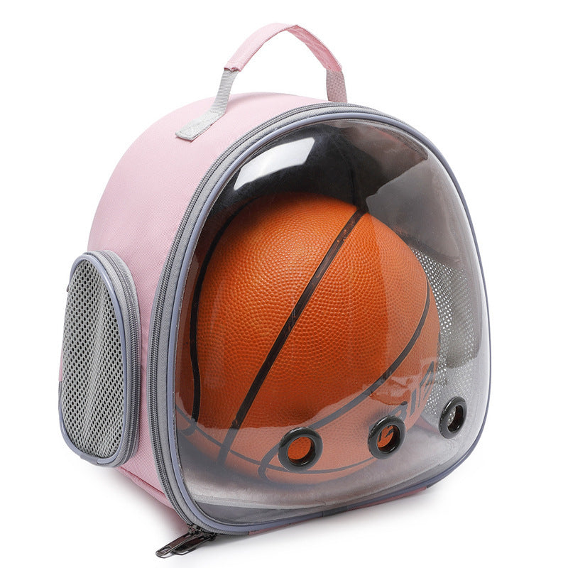 Transparent Pet Backpack, Small Animal Carrier
