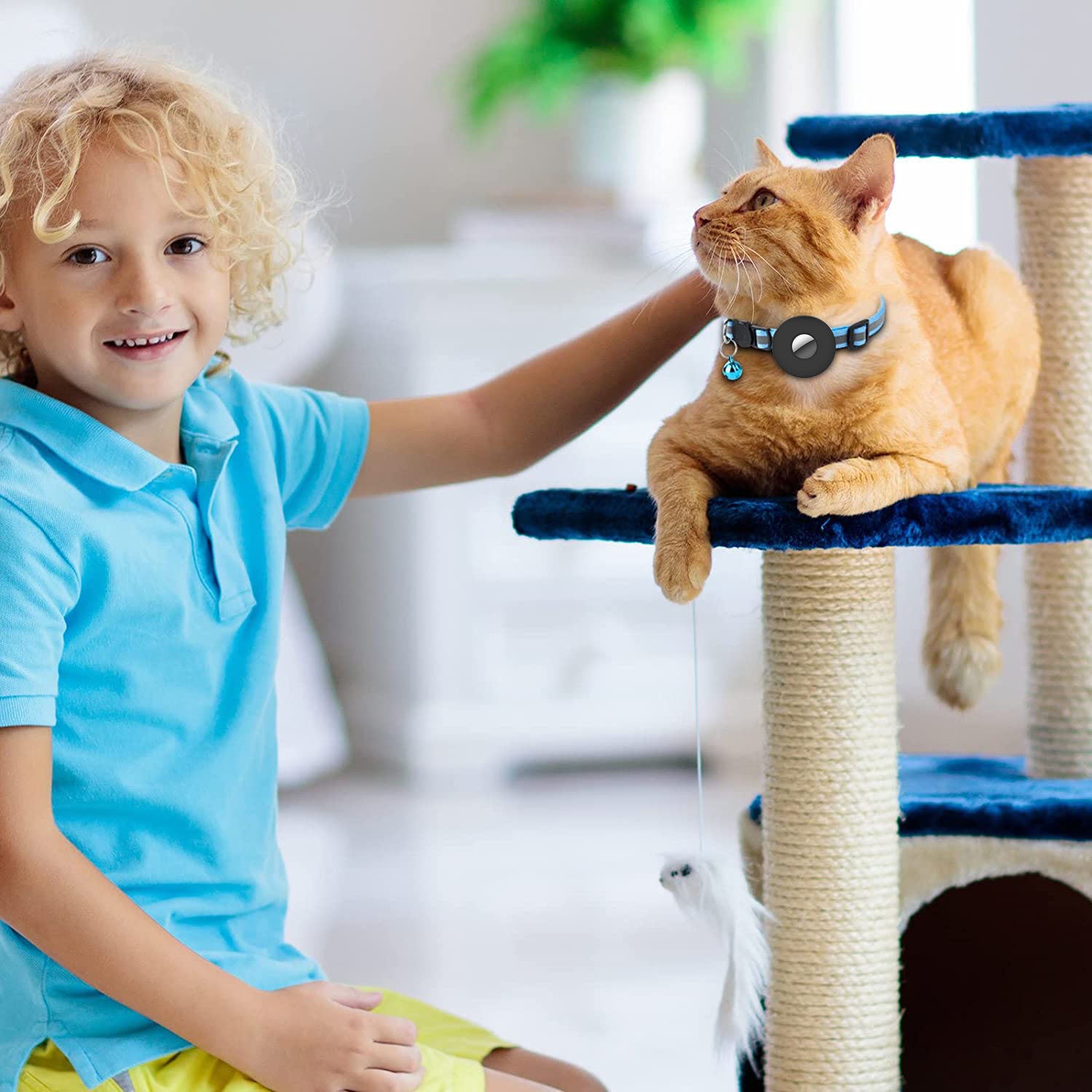 Dog and Cat Collar with Airtag and Reflective Strap