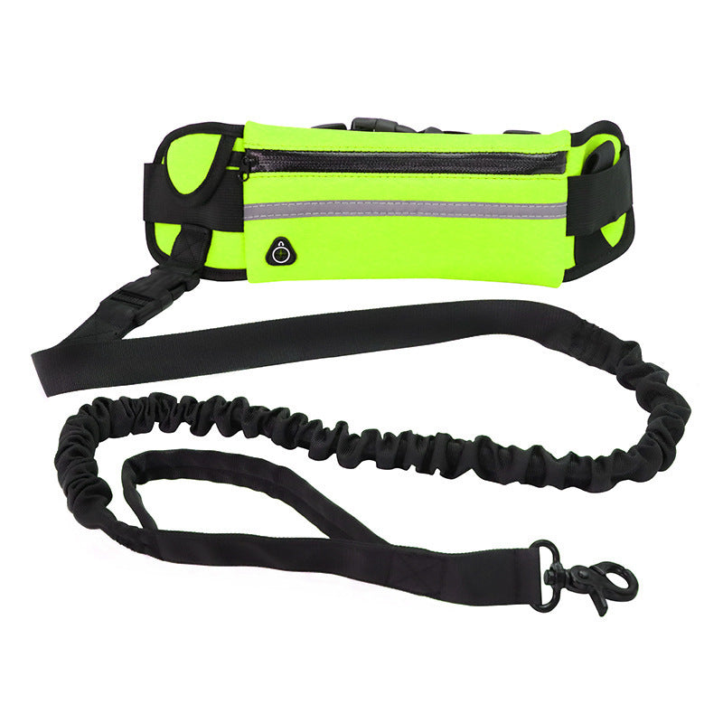 Pet Walking Belt with Phone Pocket and Bottle Holder