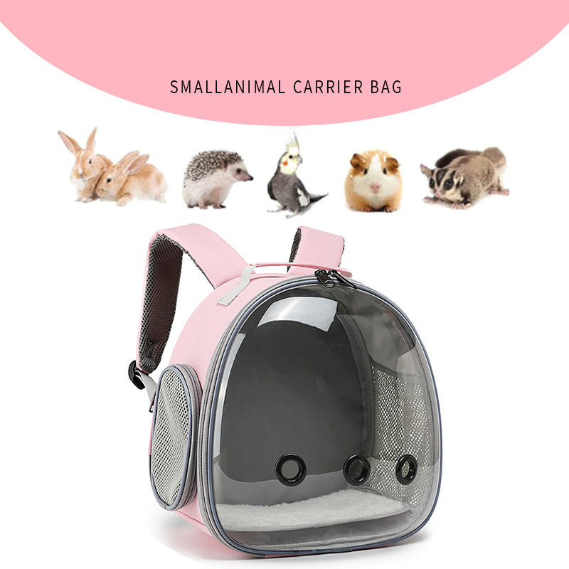 Transparent Pet Backpack, Small Animal Carrier